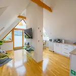Loft Folk